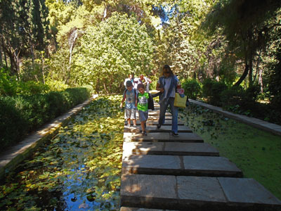 ��������� ����� ��������� 2014