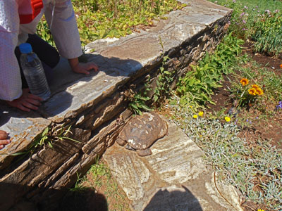 ��������� ����� ��������� 2014