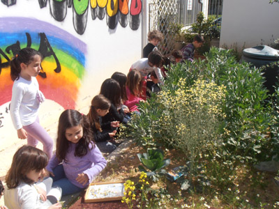 �������������� ��������� 2013-2014