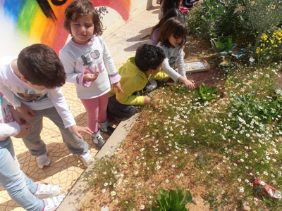 �������������� ��������� 2013-2014