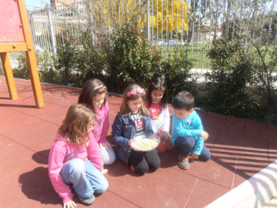 �������������� ��������� 2013-2014