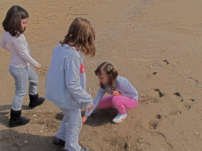 ���������� ��������� 2014