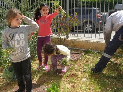 �������������� ��������� 2013-2014