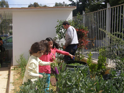 �������������� ��������� 2013-2014