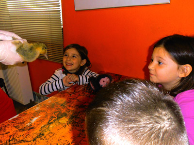 ���������� ��������� 2014