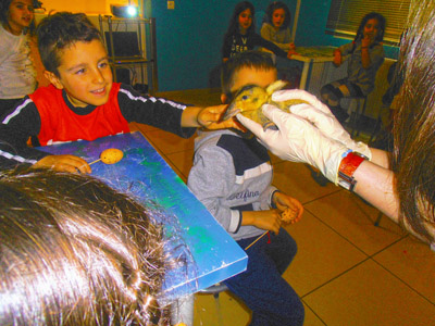 ���������� ��������� 2014