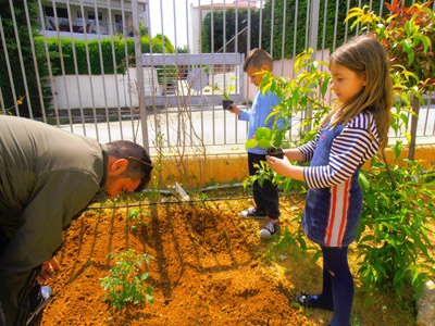 �������������� ��������� 2013-2014