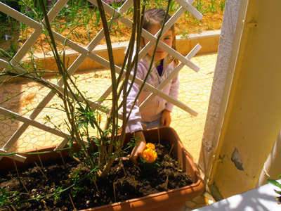 �������������� ��������� 2013-2014