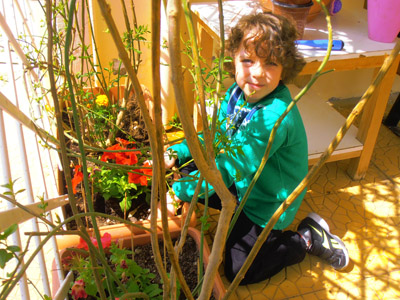 �������������� ��������� 2013-2014