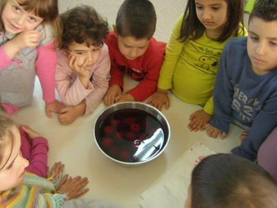 ���������� ������� 2014