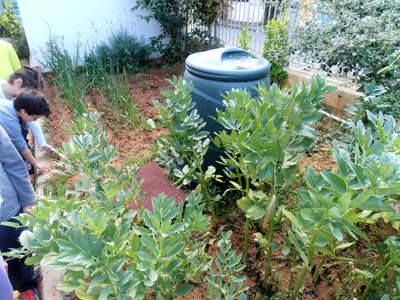 �������������� ��������� 2013-2014