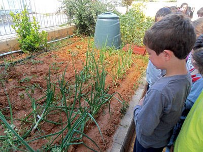 �������������� ��������� 2013-2014