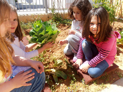 �������������� ��������� 2013-2014