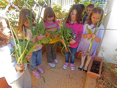 �������������� ��������� 2013-2014