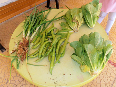 �������������� ��������� 2013-2014