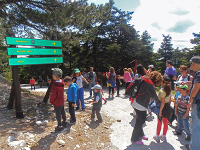 ������� ������ �������� 2014