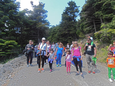 ������� ������ �������� 2014