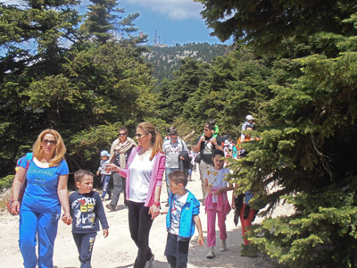 ������� ������ �������� 2014