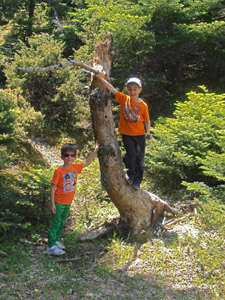 ������� ������ �������� 2014