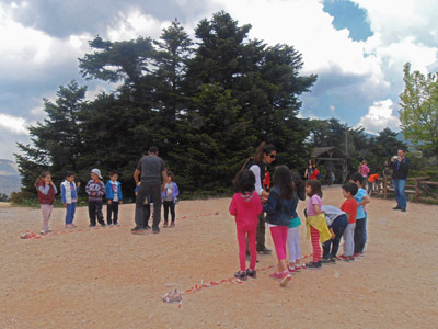 ������� ������ �������� 2014