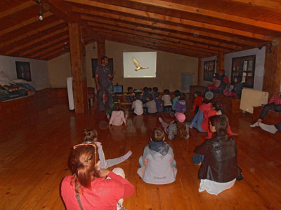 ������� ������ �������� 2014