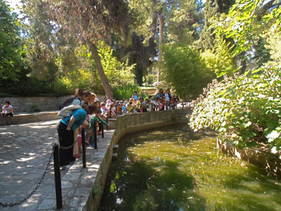 ��������� ����� ��������� 2014