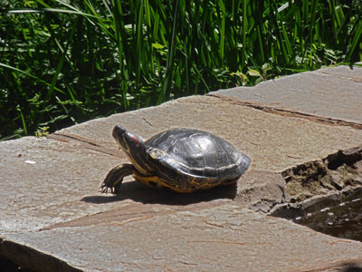 ��������� ����� ��������� 2014