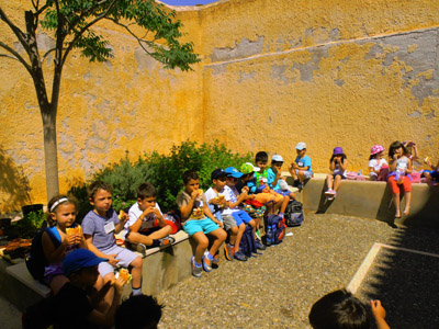 ��� ������� 2014