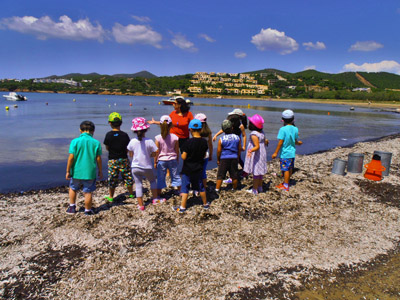 ��� ������� 2014