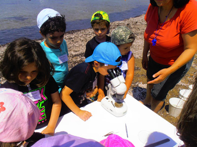 ��� ������� 2014