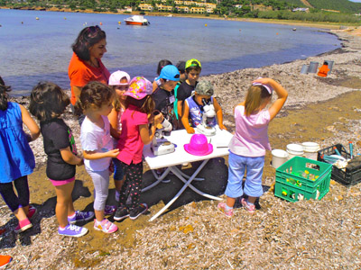 ��� ������� 2014