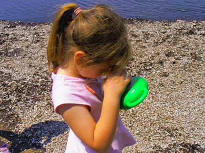 ��� ������� 2014