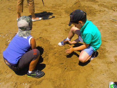 ��� ������� 2014