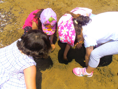 ��� ������� 2014