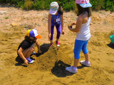 ��� ������� 2014