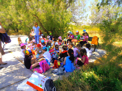 ��� ������� 2014