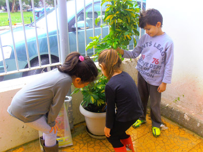 �������������� ��������� 2013-2014