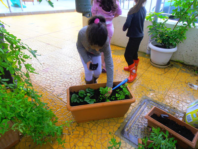 �������������� ��������� 2013-2014