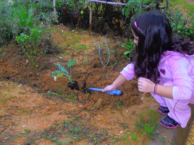 �������������� ��������� 2013-2014