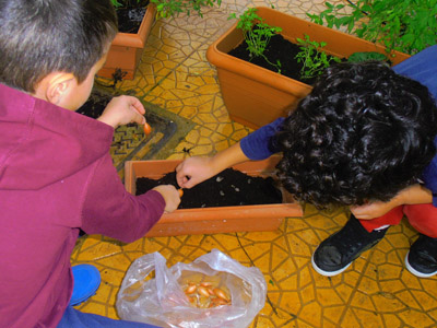 �������������� ��������� 2013-2014