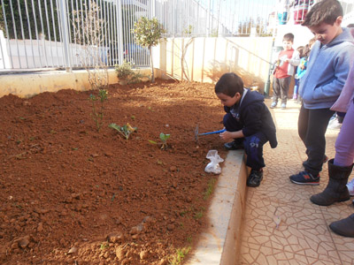 �������������� ��������� 2013-2014