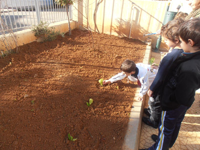 �������������� ��������� 2013-2014