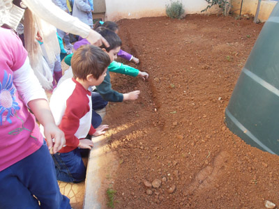 �������������� ��������� 2013-2014