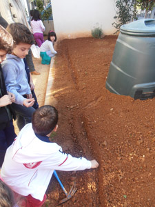 �������������� ��������� 2013-2014