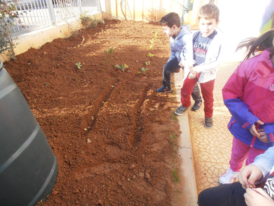 �������������� ��������� 2013-2014