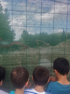 �������� ���� ������� 3�� ������������ ������ - 2014-15