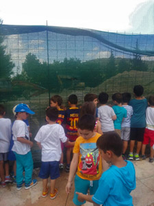 �������� ���� ������� 3�� ������������ ������ - 2014-15