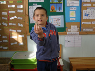 ���� ����������� 16-1-2015