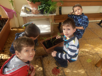 ������ �������� ��� ����� ������� 2015