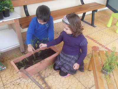 ������ �������� ��� ����� ������� 2015